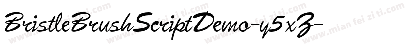 BristleBrushScriptDemo-y5xZ字体转换