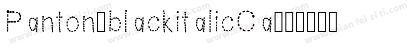 Panton-blackitalicCa字体转换