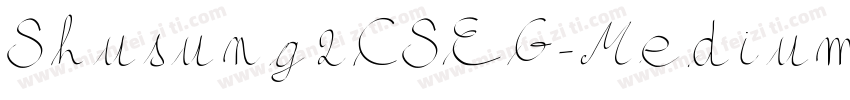 Shusung2CSEG-Medium-CB字体转换