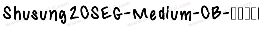 Shusung2CSEG-Medium-CB字体转换
