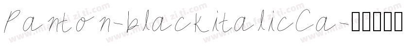 Panton-blackitalicCa字体转换