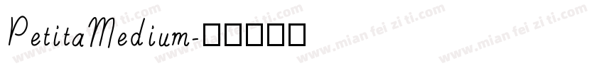 PetitaMedium字体转换