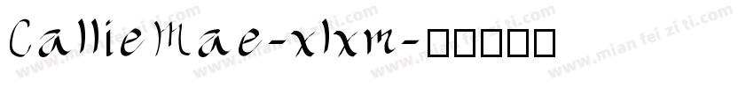 CallieMae-xlxm字体转换