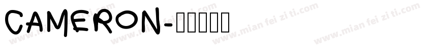 CAMERON字体转换