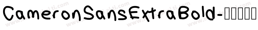 CameronSansExtraBold字体转换