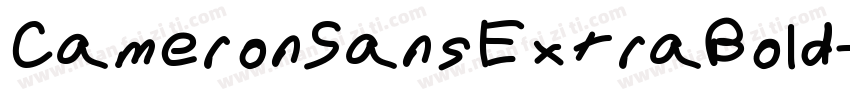 CameronSansExtraBold字体转换