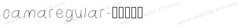 camaregular字体转换