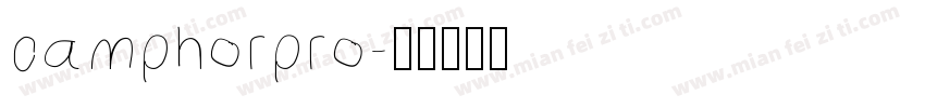 camphorpro字体转换