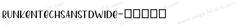 bunkentechsanstdwide字体转换