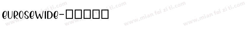 eurosewide字体转换