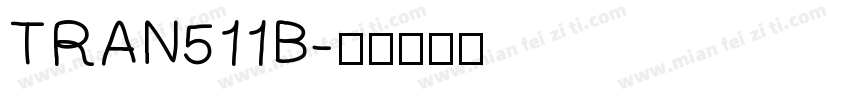 TRAN511B字体转换