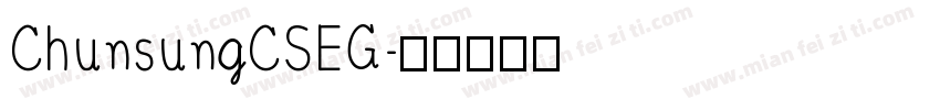 ChunsungCSEG字体转换