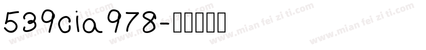 539cia978字体转换