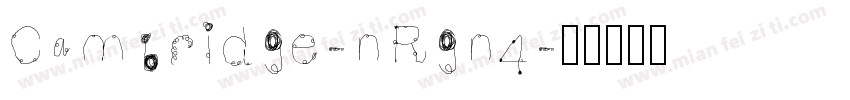 Cambridge-nRgn4字体转换