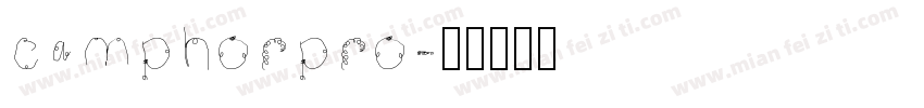 camphorpro字体转换