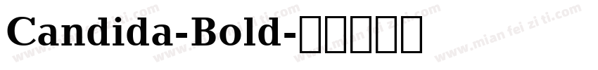 Candida-Bold字体转换
