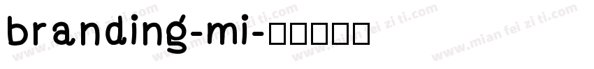 branding-mi字体转换