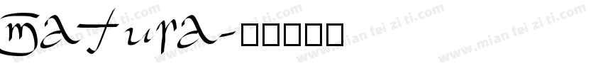 matura字体转换