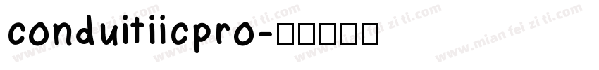 conduitiicpro字体转换