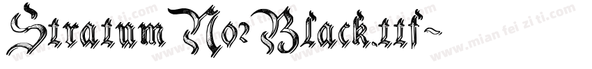 StratumNo2Black.ttf字体转换