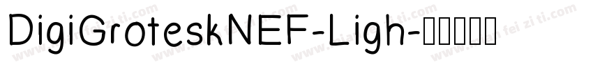 DigiGroteskNEF-Ligh字体转换