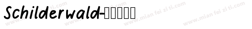 Schilderwald字体转换