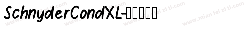 SchnyderCondXL字体转换
