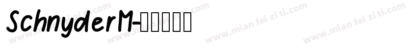 SchnyderM字体转换