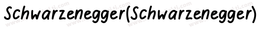 Schwarzenegger(Schwarzenegger)字体转换