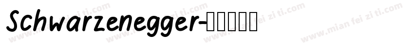 Schwarzenegger字体转换