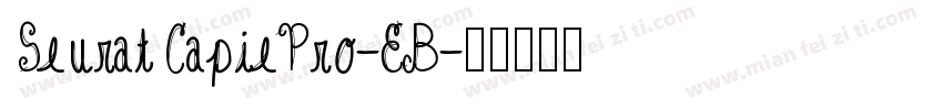 SeuratCapiePro-EB字体转换
