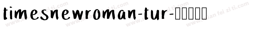 timesnewroman-tur字体转换