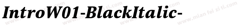 IntroW01-BlackItalic字体转换