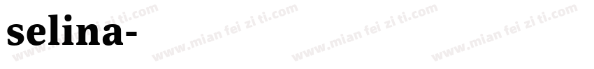 selina字体转换