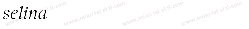 selina字体转换