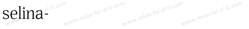 selina字体转换