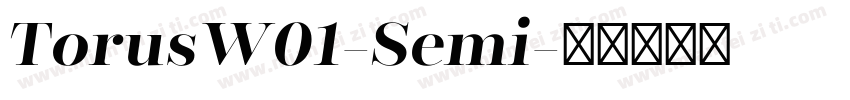 TorusW01-Semi字体转换