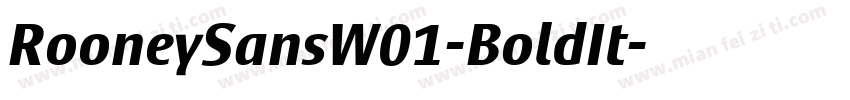RooneySansW01-BoldIt字体转换