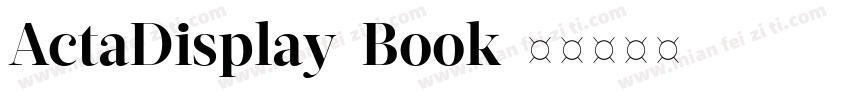 ActaDisplay-Book字体转换