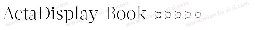 ActaDisplay-Book字体转换