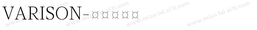 VARISON字体转换