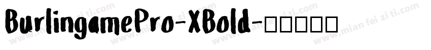 BurlingamePro-XBold字体转换
