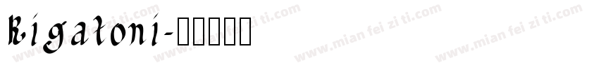 Rigatoni字体转换