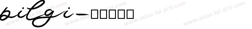 PilGi字体转换