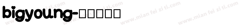 bigyoung字体转换