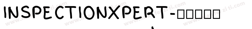 INSPECTIONXPERT字体转换