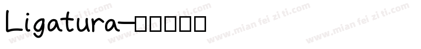 Ligatura字体转换
