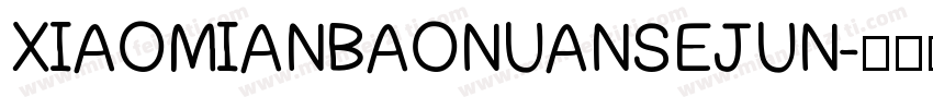 XIAOMIANBAONUANSEJUN字体转换
