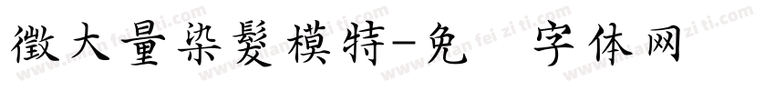徵大量染髮模特字体转换