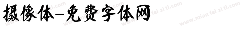 摄像体字体转换